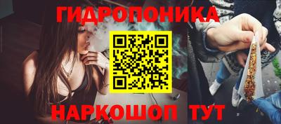 прущие крисы Лесосибирск
