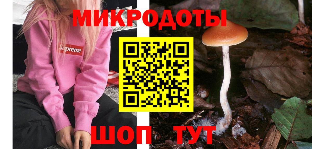 Псилоцибиновые грибы GOLDEN TEACHER  Вход с VPN  Екатеринбург 